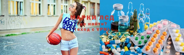 Альфа ПВП Алзамай