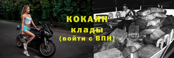индика Пестово
