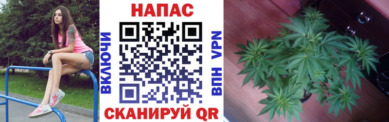 купить наркотики цена  МЕГА онион  Бошки Шишки VHQ  Серов 
